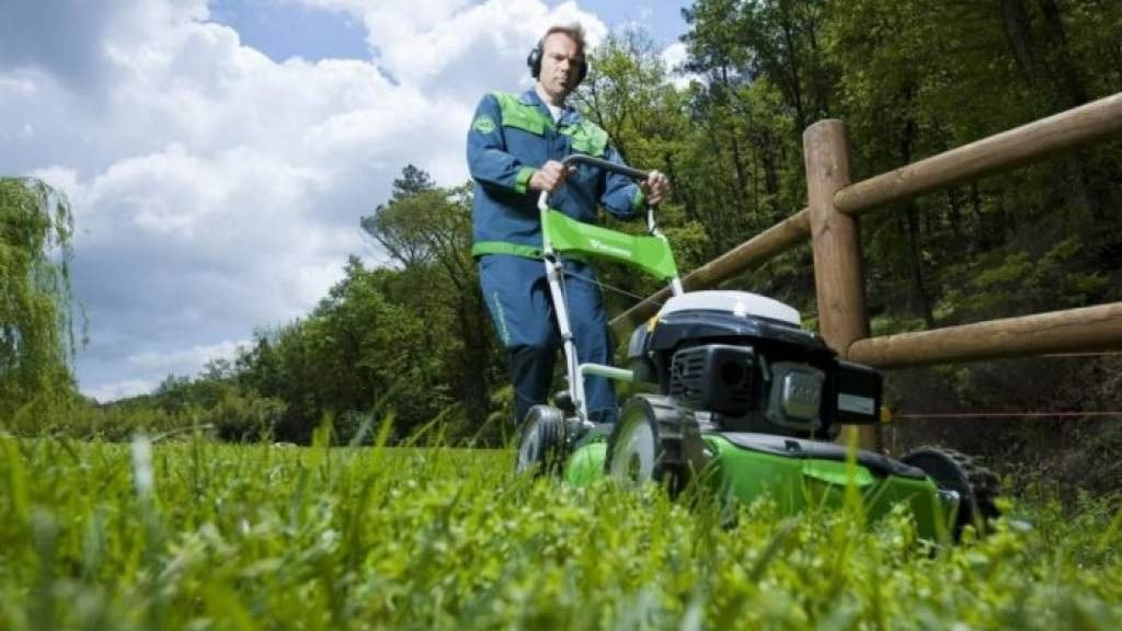 Лучший способ стричь траву: виды садовой техники и режущие инструменты