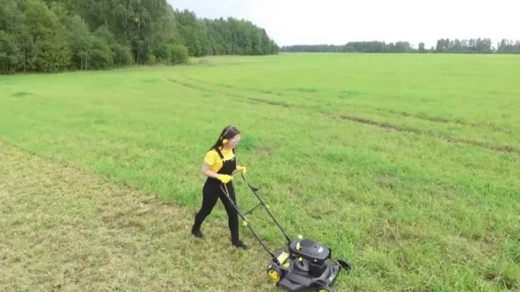 Лучший способ стричь траву: виды садовой техники и режущие инструменты