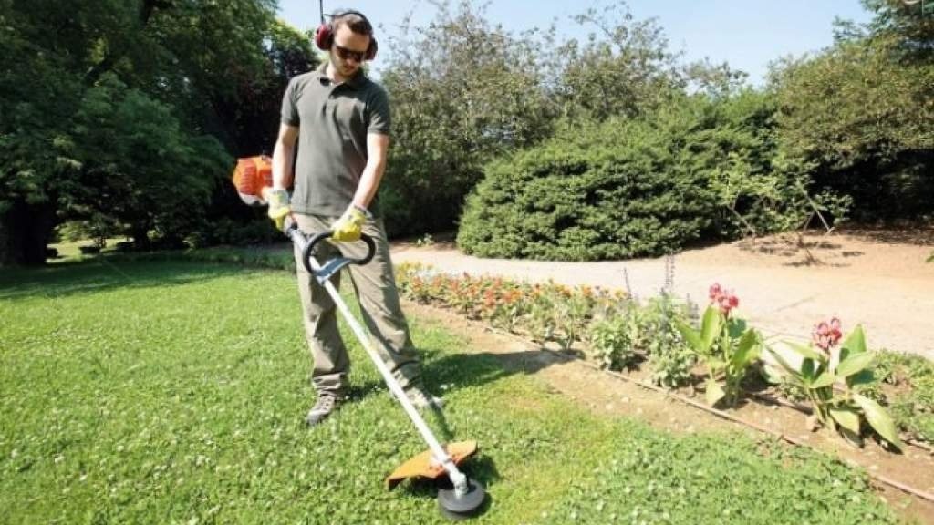 Лучший способ стричь траву: виды садовой техники и режущие инструменты