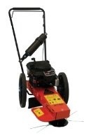 Эхо Медведь Кот WT190