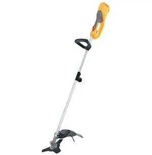 одиннадцать