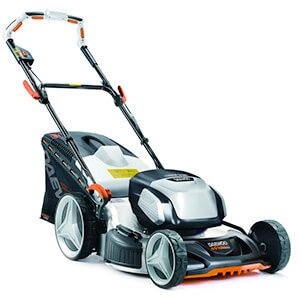 одиннадцать