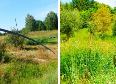 Советы и рекомендации эксперта как правильно подобрать ручную косу для травы, достоинства и недостатки, а также область применения серпана, литовки...