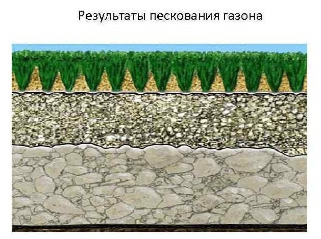разгладить газон
