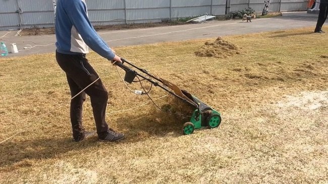 скарификация газонов весной