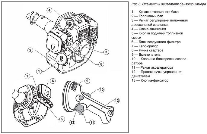 Устройство двигателя бензокосы в картинках